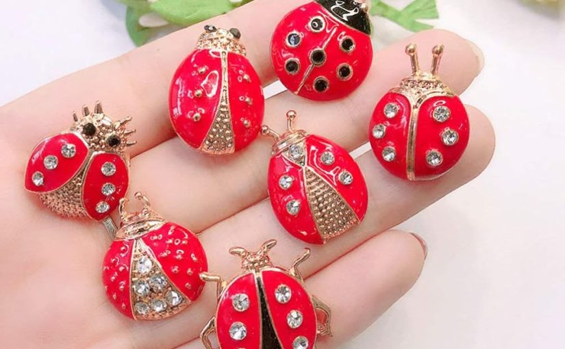 Embrace Elegance: Trending Ladybug Brooch Designs